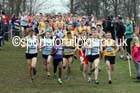 Senior mens Inter Counties Cross Country, Prestwold Hall, Loughborough. Photo: David T. Hewitson/Sports for All Pics